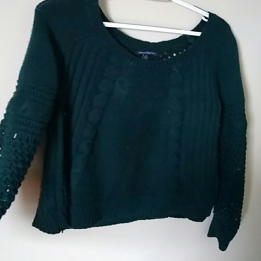 Dark green American eagle cable knit sweater